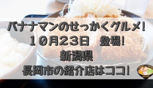 せっかくグルメ(10/23)新潟県長岡市で日村さんが紹介した人気店はココ!