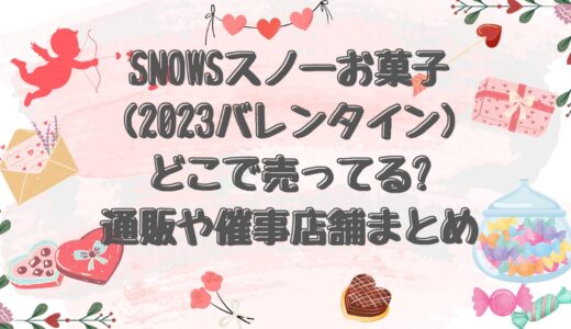 snowsスノーお菓子(2023)どこで売ってる?通販や催事店舗まとめ