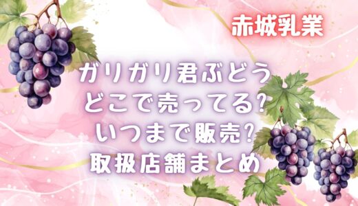 ガリガリ君ぶどう(2024/8)どこで売ってる?いつまで販売?取扱店舗まとめ