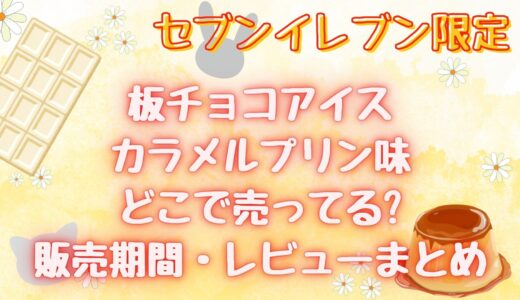 板チョコアイスカラメルプリン味(2024/8)どこで売ってる?販売期間やレビューまとめ